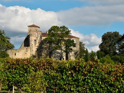 Domaine viticole en Lot et Garonne entouré de vignes