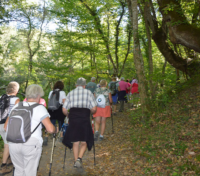 Groupe de randonneurs marchant en forêt lors d’une sortie accompagnée du Relais du Moulin Neuf.